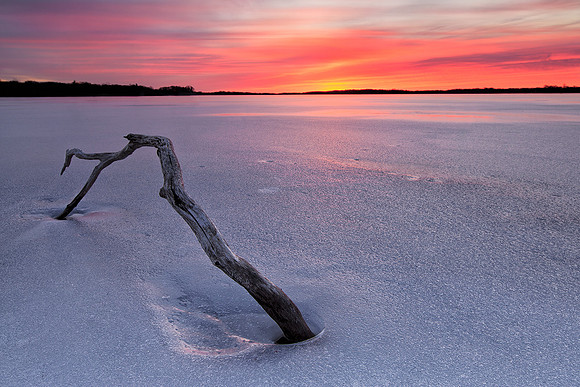"A Frozen Death"