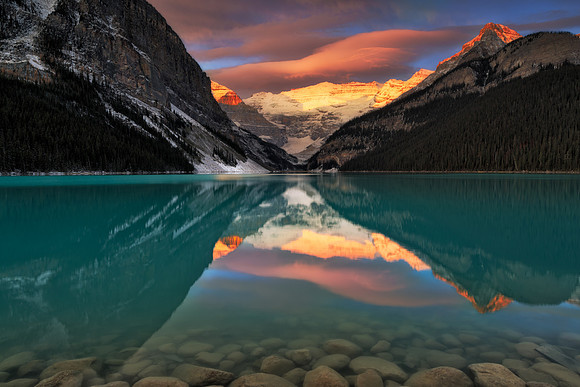 "Submerged Beauty"