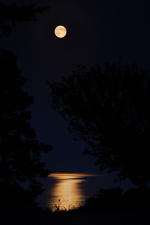 "Killing Moon"