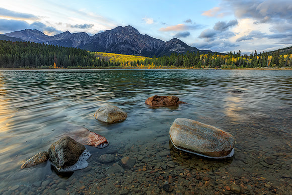 "The Last Days Of Autumn"