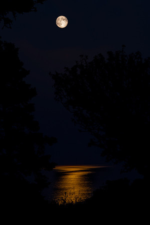 "Killing Moon"
